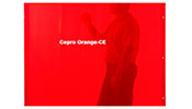   CEPRO Orange-CE 180220