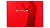   CEPRO Orange-CE 160220